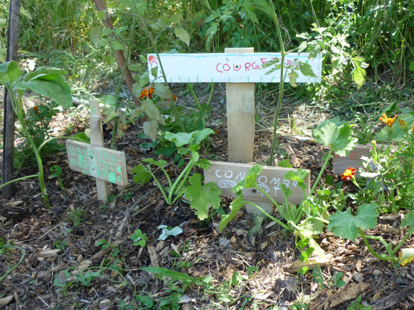 Potager - home