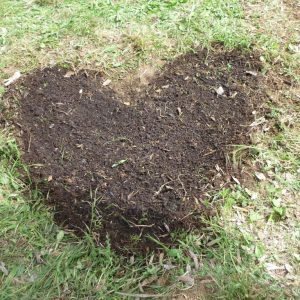 I love gardening