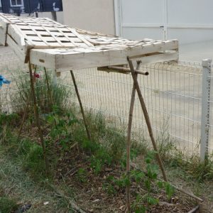 Un peu d'ombre pour nos tomates