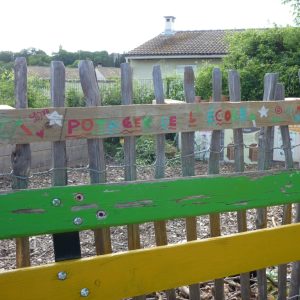 Le potager de l'école !